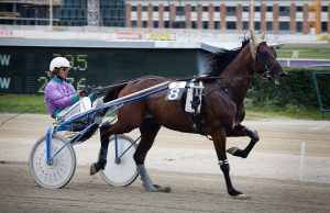 1200px-vienna_-_trotting_racer_at_the_krieau_-_6602